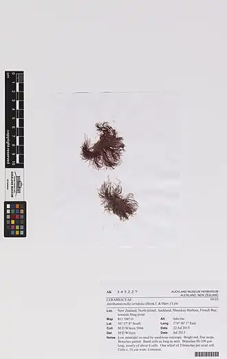 Description de cette image, également commentée ci-après