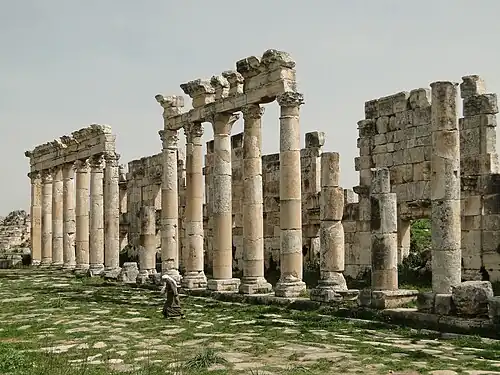Quelques colonnes dans la partie nord de la ville d'Apamée.