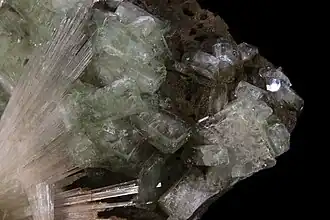 Apophyllite verte tabulaire et scolécite- Nasik Inde (12x8cm)