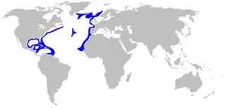 Description de l'image Apristurus laurussonii distmap.png.