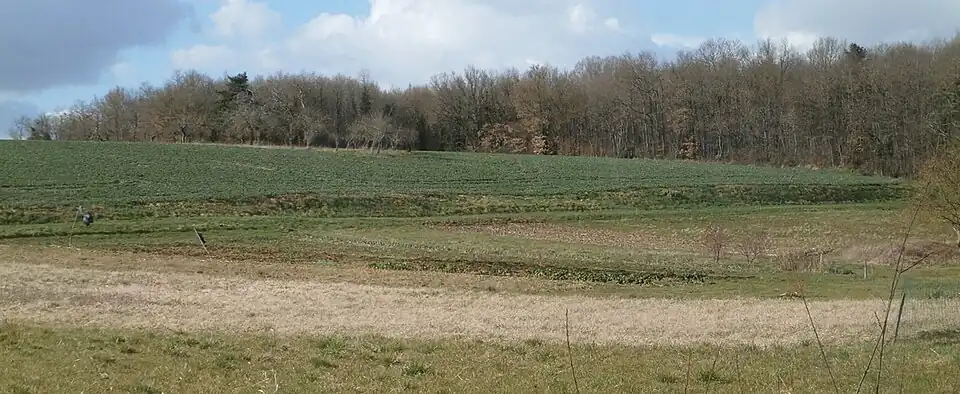 Vue panoramique d'un champ marqué par un ressaut linéaire.
