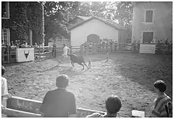 Arènes avec la piste clôturée par des barrières en bois - 1993.