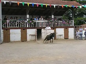 Image illustrative de l’article Course landaise