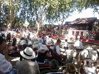 Les arènes du Cailar en août, pendant la fête votive.