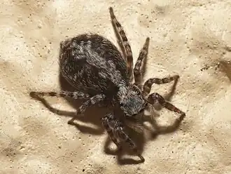 Description de cette image, également commentée ci-après