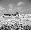 Journaliers au travail en 1947 sur Oranje Pan.