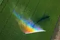 Arc-en-ciel agricole