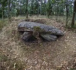 Image illustrative de l’article Arca do Rabós