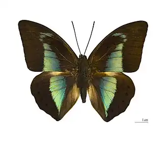 Description de cette image, également commentée ci-après