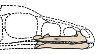 Description de cette image, également commentée ci-après