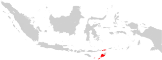 Image illustrative de l’article Archidiocèse de Kupang