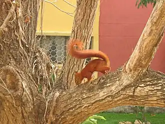 Description de cette image, également commentée ci-après