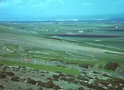 Photo d'un paysage verdoyant avec quelques touffes vert foncé en premier plan et peu de relief.