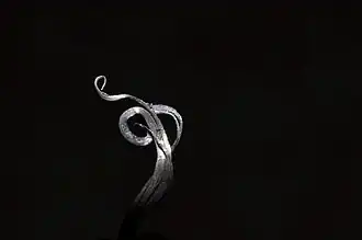 Image illustrative de l’article Argent natif