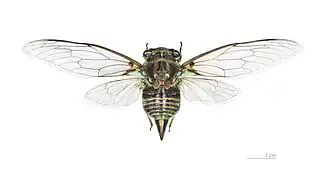 Description de cette image, également commentée ci-après