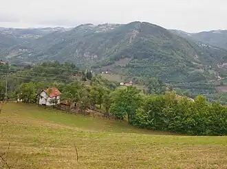 Radoševo