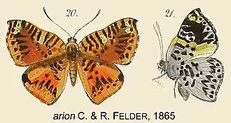 Description de cette image, également commentée ci-après