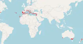 Description de l'image Arisarum_vulgare_repartition.png.