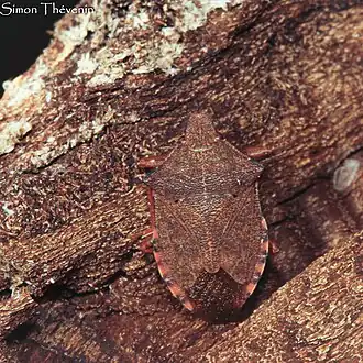 Description de cette image, également commentée ci-après