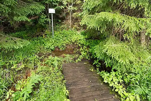 La source Armuallikas sur la rive est du lac.