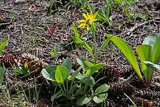 Description de cette image, également commentée ci-après