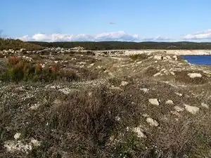 Vue de la zone centrale du site de l'Arquet.