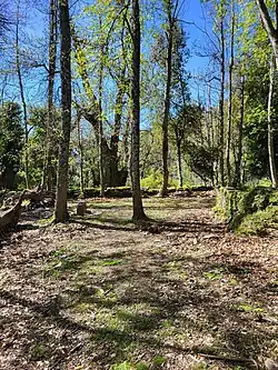 arrivée dans la clairière