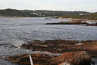 Arthur River (Tasmanie)