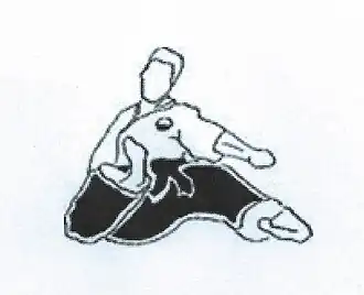 Logo officiel du Shinkai Jeetkidokaï Karaté