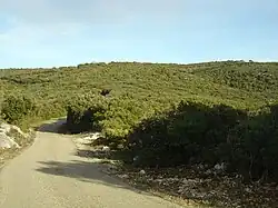 Court palier après 1,8&nbsp;km d’ascension et vue sur le sommet à droite.