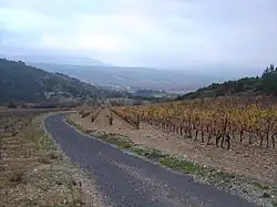 En arrière, le début de l'ascension à travers les vignes de Tuchan.