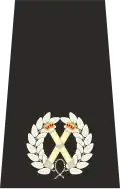UK Police Assistent Chief Constable Epaulette