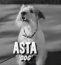 Asta.
