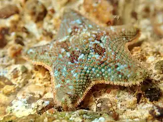 Description de cette image, également commentée ci-après