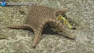 Description de cette image, également commentée ci-après