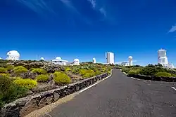Route et bâtiments blancs de l'observatoire entourés de buissons jaunes.