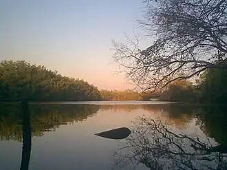 Description de l'image Atardecer en Estero Aguamitas - panoramio.jpg.