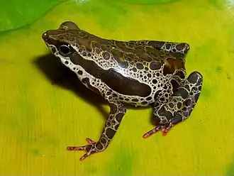 Description de cette image, également commentée ci-après