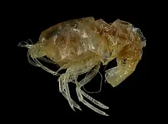 Description de cette image, également commentée ci-après