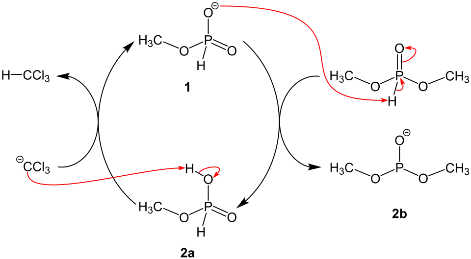 Deuxième partie du mécanisme de la réaction d'Atherton-Todd