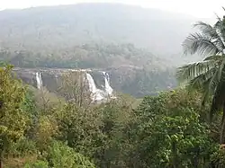 Nature autour des chutes d'Athirapilly.