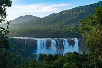 Les chutes d'Athirappilly, formées par le Chalakudy. C'est un lieu de tournage iconique du Kerala.