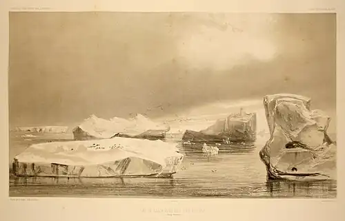 Formes diverses d'îles de glace