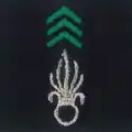 Légion étrangère - Arme blindée cavalerie