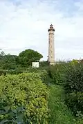 Au loin, le phare des Baleines