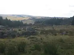 Aperçu de l'Aubrac non loin du col de Bonnecombe.