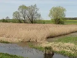 Lieu-dit La Jonnière