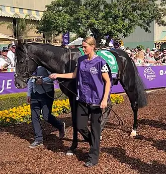 Image illustrative de l’article Auguste Rodin (cheval)