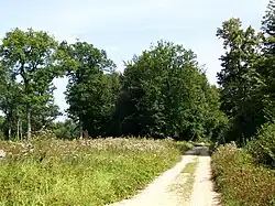 La route des Fossés sur le mont Alta.