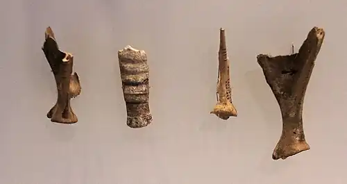 Os incisés. Hayonim, Aurignacien levantin.